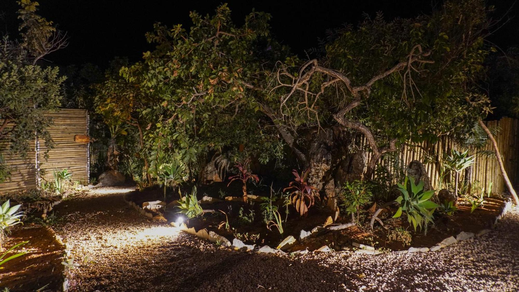 Vila Flor - Chapada Dos Veadeiros Alto Paraíso de Goiás Esterno foto